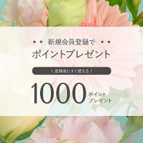 ニュース一覧｜BLOOM（ブルーム）公式通販-09-02-2025_11_55_PM (1)